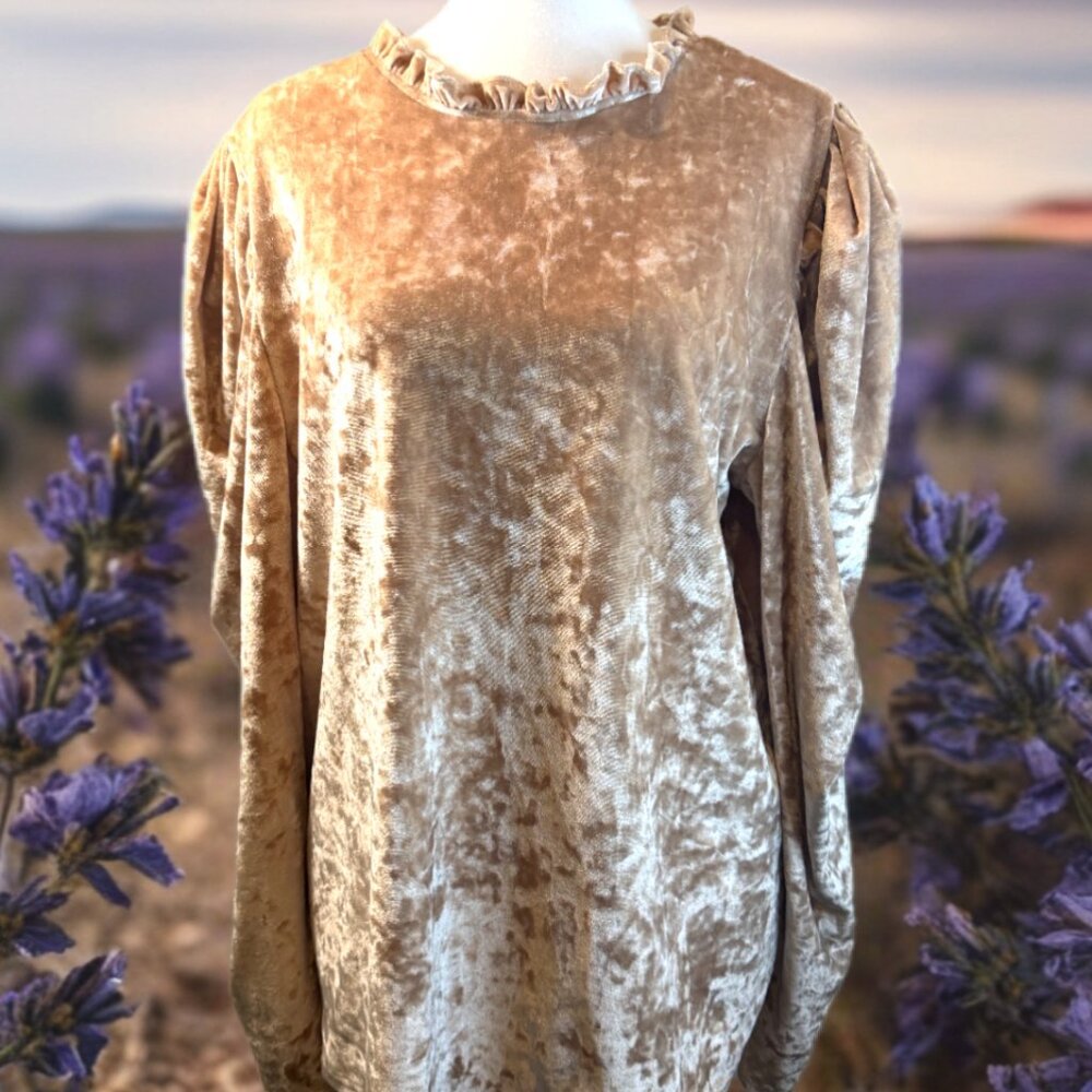 Crushed velvet look romantic puff sleeve ruffle collar